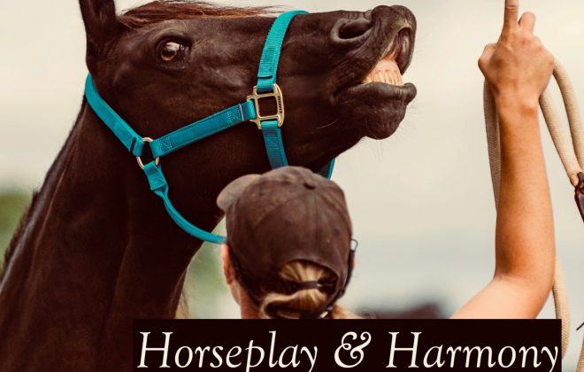 Horseplay & Harmony – The Fundamentals: Part 1 of 3