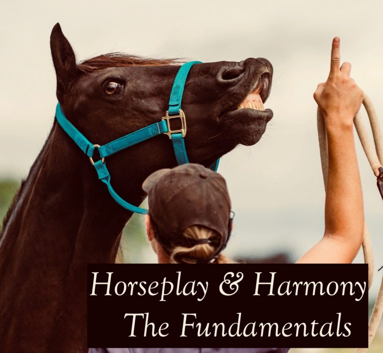 Horseplay & Harmony – The Fundamentals: Part 1 of 3