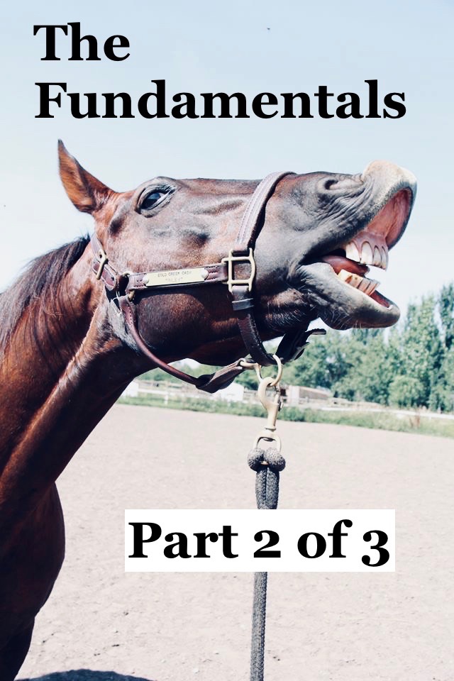 Horseplay & Harmony The Fundamentals Part 2 of 3