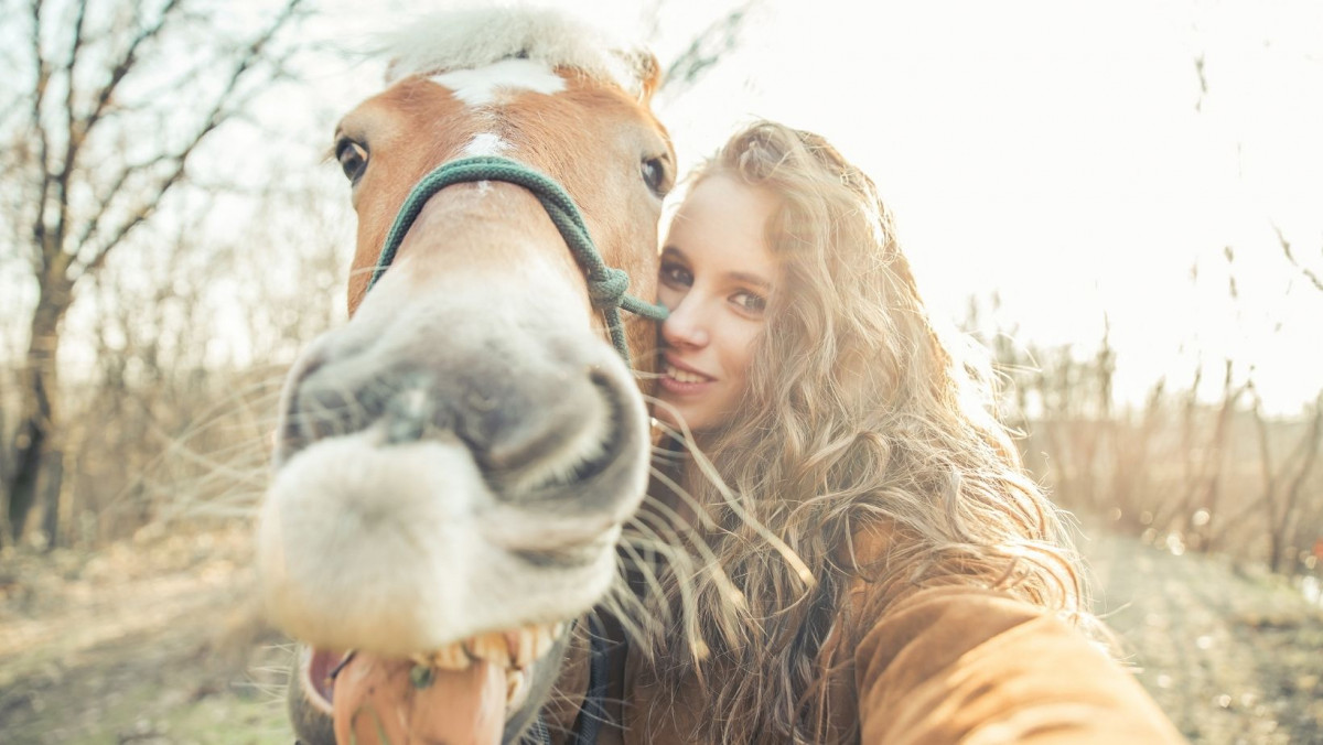 10 Days of Prizes - Horse Liberty Training