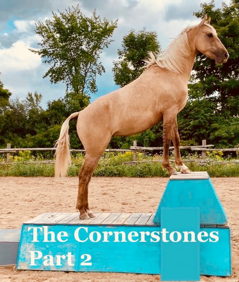 Horseplay and Harmony: The Cornerstones Part 2 of 4 (Pedestal Work)