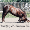 Horseplay and Harmony: Pro Tips