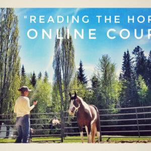 Reading the Horse Body Language Online Course