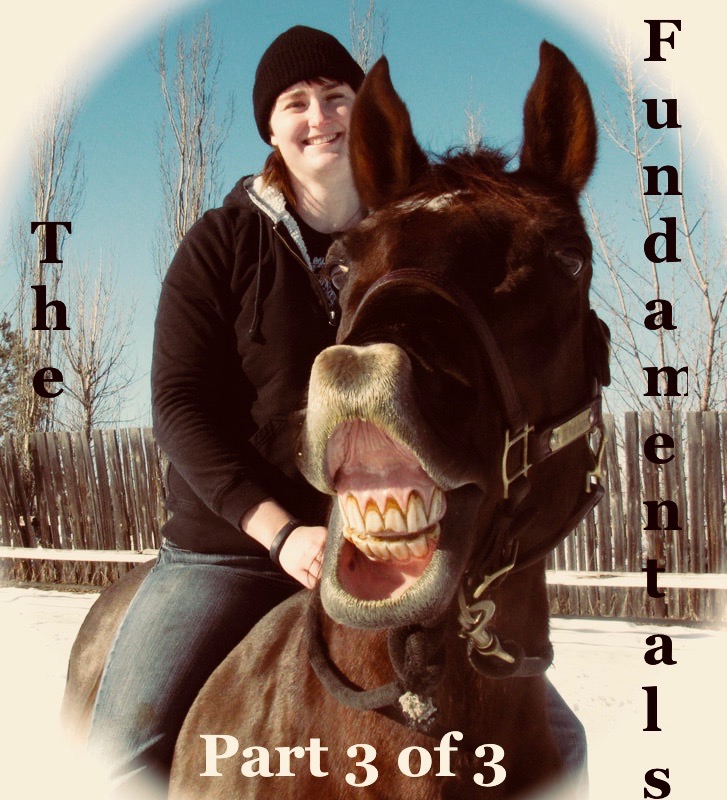 Horseplay and Harmony: The Fundamentals Part 3 of 3