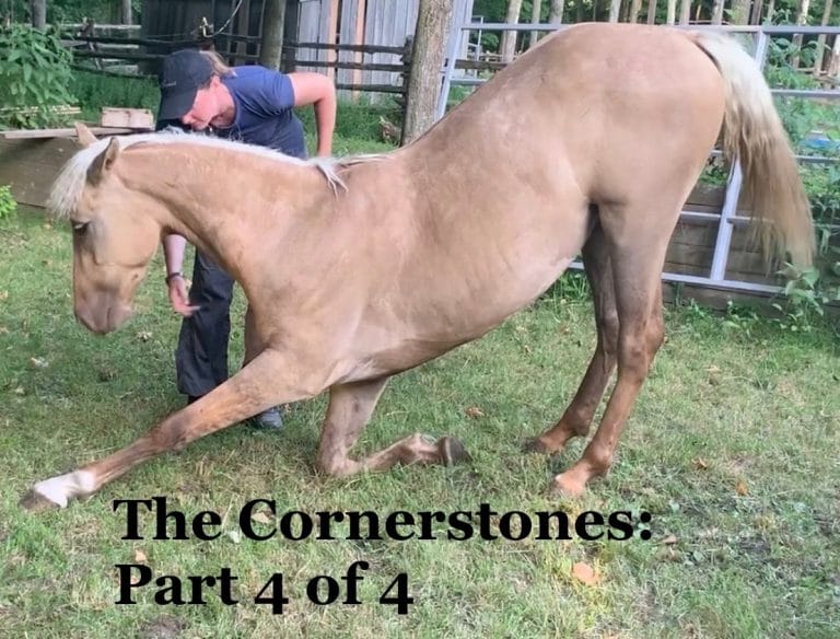 Horseplay & Harmony The Cornerstones Part 4 of 4 (All About Bowing)