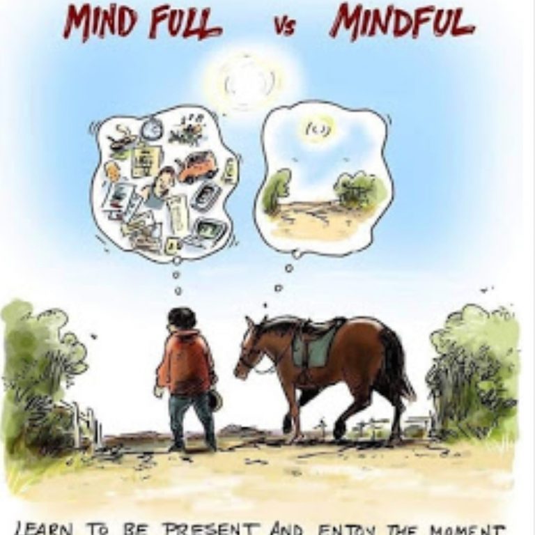 Mindful Horsemanship Significance Series