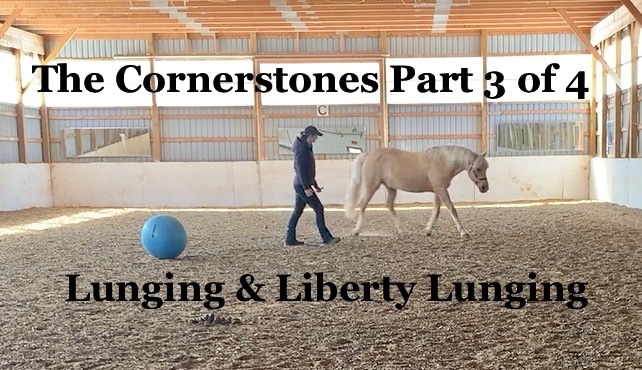 Horseplay and Harmony: The Cornerstones Part 3 of 4 (Lunging & Liberty Lunging)