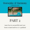 Horseplay and Harmony: The Cornerstone Part 2 of 4
