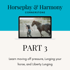 course-cornerstone-lunging
