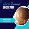 Horse Training Bootcamp